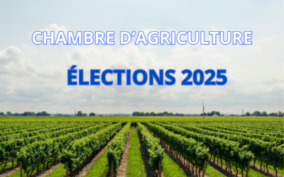 Etablissement des listes électorales pour les élections 2025 des membres de la chambre d’agriculture