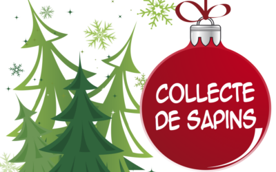 Collecte sapins de Noël